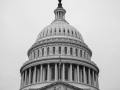 joshua-sukoff-SYHi8oX0JC8-unsplash